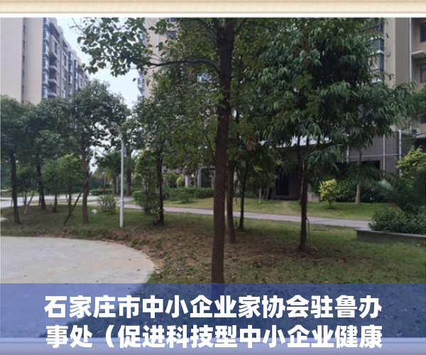 石家庄市中小企业家协会驻鲁办事处（促进科技型中小企业健康成长  石家庄市科技型中小企业贷款补助资金正在申报）