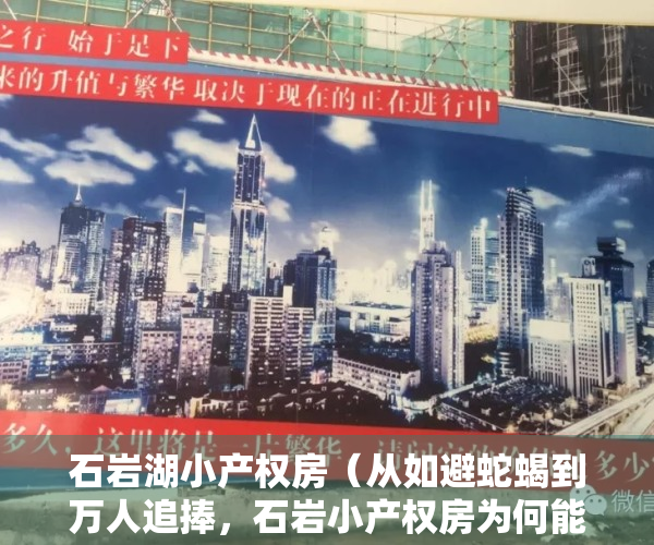 石岩湖小产权房（从如避蛇蝎到万人追捧，石岩小产权房为何能形成如此大的反转？）