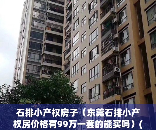 石排小产权房子（东莞石排小产权房价格有99万一套的能买吗）(东莞石排小产权房最新楼盘)