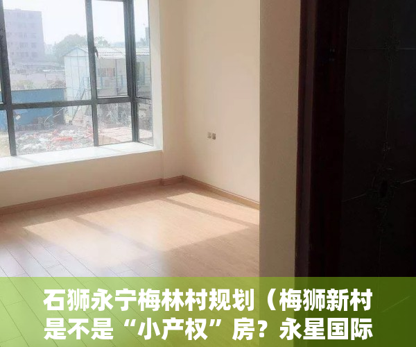 石狮永宁梅林村规划（梅狮新村是不是“小产权”房？永星国际商品房何时能办证……​）