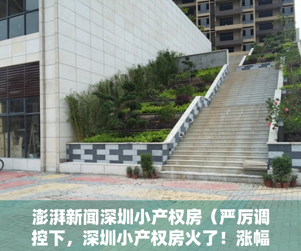 澎湃新闻深圳小产权房（严厉调控下，深圳小产权房火了！涨幅超30%）