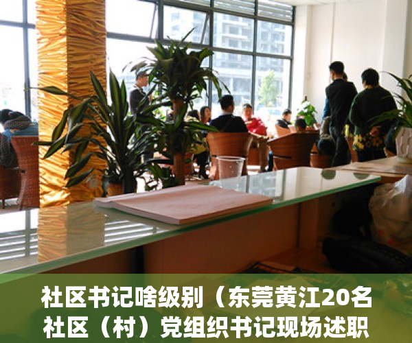 社区书记啥级别（东莞黄江20名社区（村）党组织书记现场述职）(东莞的社区书记是什么级别)