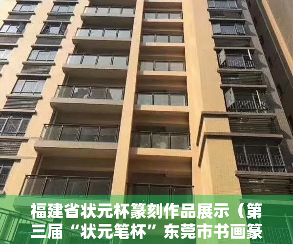 福建省状元杯篆刻作品展示（第三届“状元笔杯”东莞市书画篆刻大赛颁奖,松湖书院挥春送福）