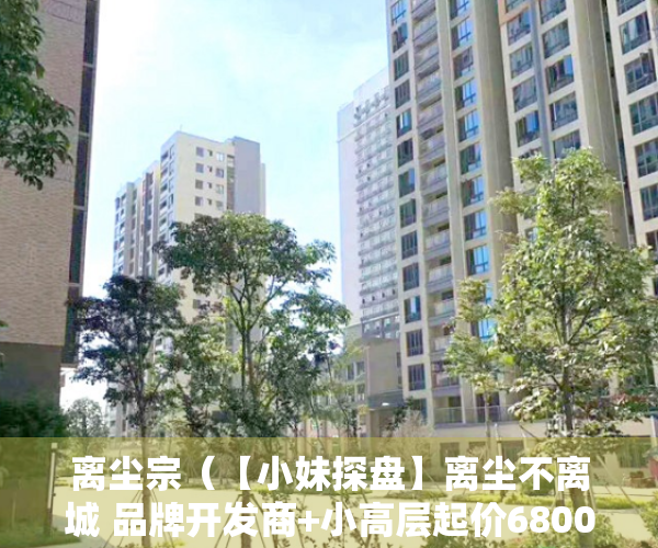 离尘宗（【小妹探盘】离尘不离城 品牌开发商+小高层起价6800）
