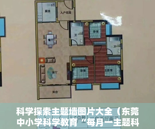 科学探索主题墙图片大全（东莞中小学科学教育“每月一主题科学探秘活动”启动）