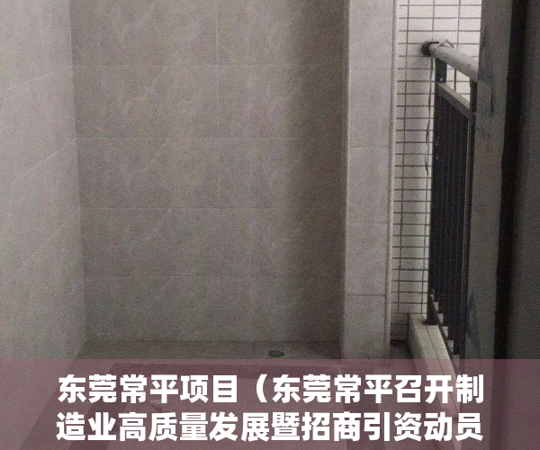 东莞常平项目（东莞常平召开制造业高质量发展暨招商引资动员大会）