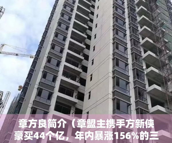 章方良简介（章盟主携手方新侠豪买44个亿，年内暴涨156%的三六零还能再涨吗？）