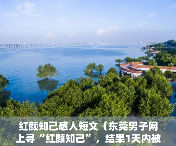 红颜知己感人短文（东莞男子网上寻“红颜知己”，结果1天内被连骗两次！）
