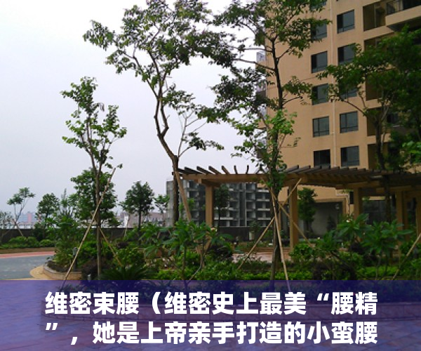 维密束腰（维密史上最美“腰精”，她是上帝亲手打造的小蛮腰，你被迷倒了吗）