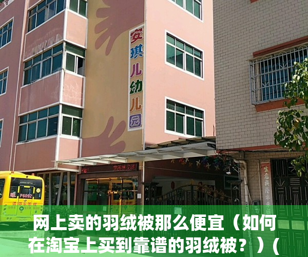 网上卖的羽绒被那么便宜（如何在淘宝上买到靠谱的羽绒被？）(网上买的羽绒被是假货吗)