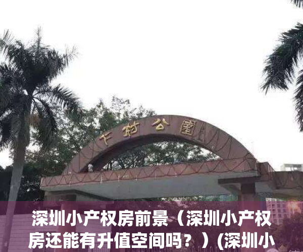 深圳小产权房前景（深圳小产权房还能有升值空间吗？）(深圳小产权会降价吗)