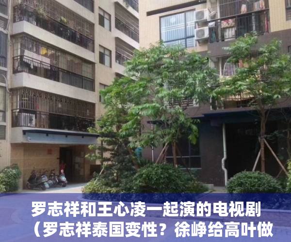 罗志祥和王心凌一起演的电视剧（罗志祥泰国变性？徐峥给高叶做配？倪妮遣散宣传团队？唐嫣得罪渣浪？李兰迪对标杨紫？）