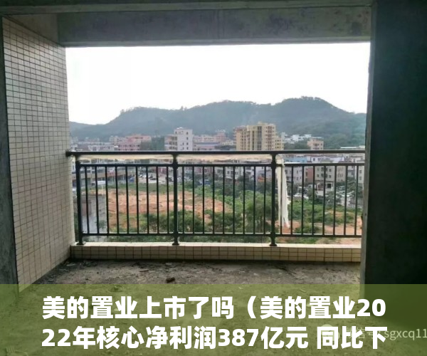 美的置业上市了吗（美的置业2022年核心净利润387亿元 同比下降29%）