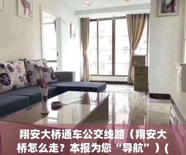 翔安大桥通车公交线路（翔安大桥怎么走？本报为您“导航”）(翔安大桥位置)