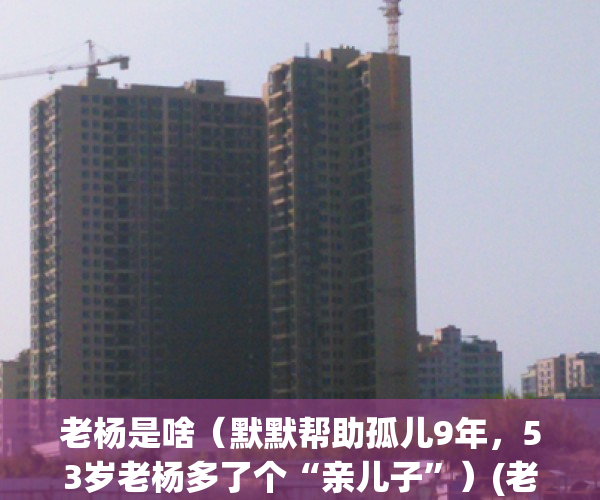 老杨是啥（默默帮助孤儿9年，53岁老杨多了个“亲儿子”）(老杨原名)