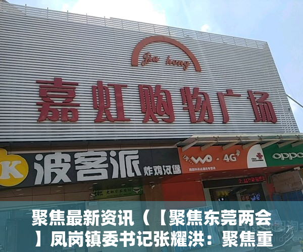 聚焦最新资讯（【聚焦东莞两会】凤岗镇委书记张耀洪：聚焦重大产业、重点项目，塑造高质量发展新优势）