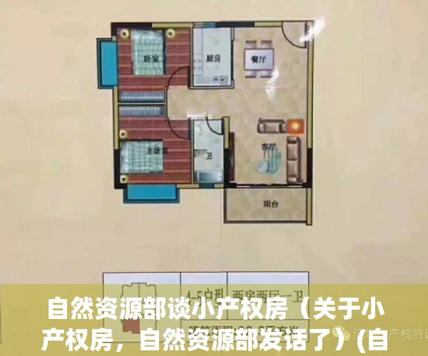 自然资源部谈小产权房（关于小产权房，自然资源部发话了）(自然资源部 小产权)