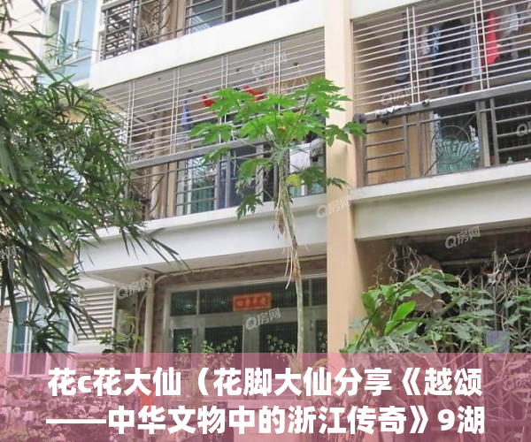花c花大仙（花脚大仙分享《越颂——中华文物中的浙江传奇》9湖州镜与温州漆）