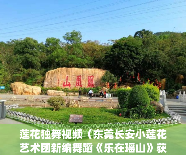 莲花独舞视频（东莞长安小莲花艺术团新编舞蹈《乐在瑶山》获好评）(莲花亭舞蹈)