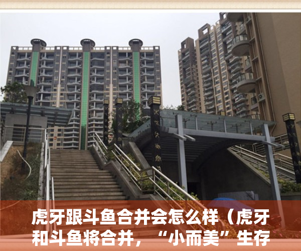 虎牙跟斗鱼合并会怎么样（虎牙和斗鱼将合并，“小而美”生存方式在互联网领域越来越稀缺）