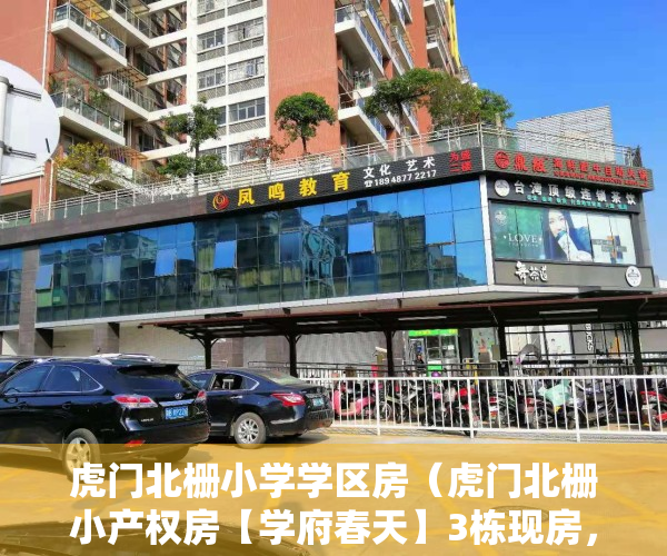虎门北栅小学学区房（虎门北栅小产权房【学府春天】3栋现房，首付3成，分期5年）