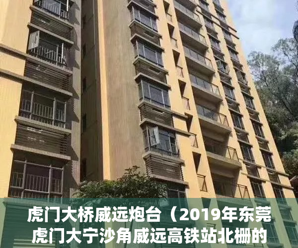 虎门大桥威远炮台（2019年东莞虎门大宁沙角威远高铁站北栅的村委统建楼最新价格大全）