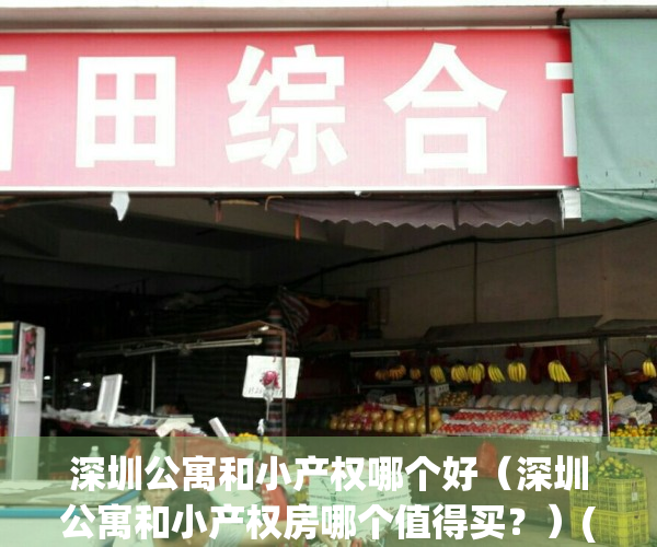 深圳公寓和小产权哪个好（深圳公寓和小产权房哪个值得买？）(深圳公寓和小产权房的区别)