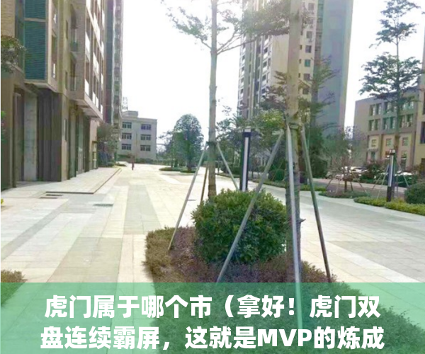 虎门属于哪个市（拿好！虎门双盘连续霸屏，这就是MVP的炼成真相）(虎门属于哪?)