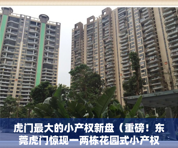 虎门最大的小产权新盘（重磅！东莞虎门惊现一两栋花园式小产权盘，全款139万一套还送精装修）