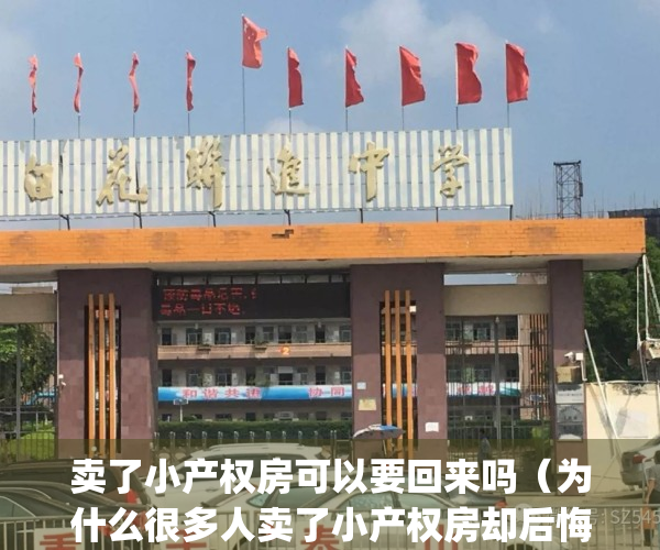 卖了小产权房可以要回来吗（为什么很多人卖了小产权房却后悔了？）(卖小产权房子会叛刑吗)