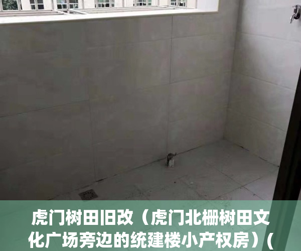 虎门树田旧改（虎门北栅树田文化广场旁边的统建楼小产权房）(虎门树田租房信息)
