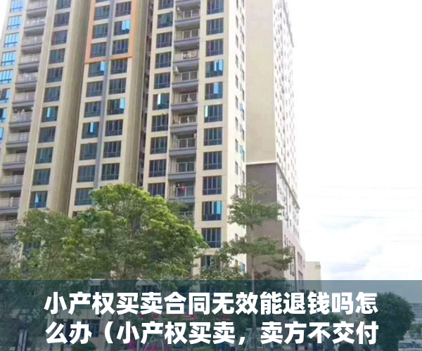 小产权买卖合同无效能退钱吗怎么办（小产权买卖，卖方不交付房屋，买方起诉合同无效，获法院支持）