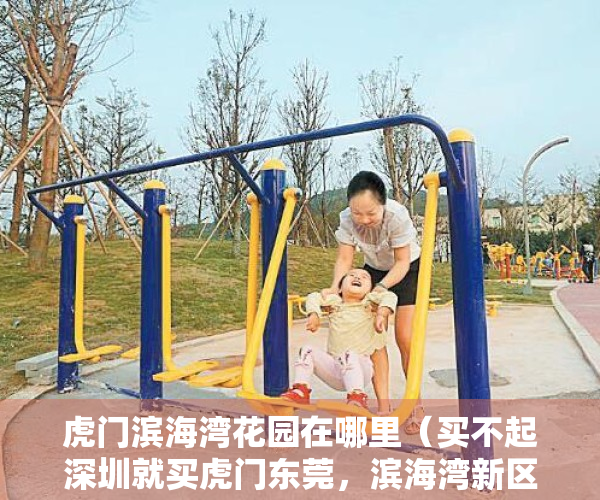 虎门滨海湾花园在哪里（买不起深圳就买虎门东莞，滨海湾新区一个新的前海）