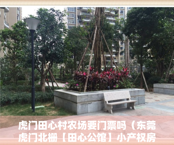 虎门田心村农场要门票吗（东莞虎门北栅【田心公馆】小产权房最新开盘出售 均价4400元）