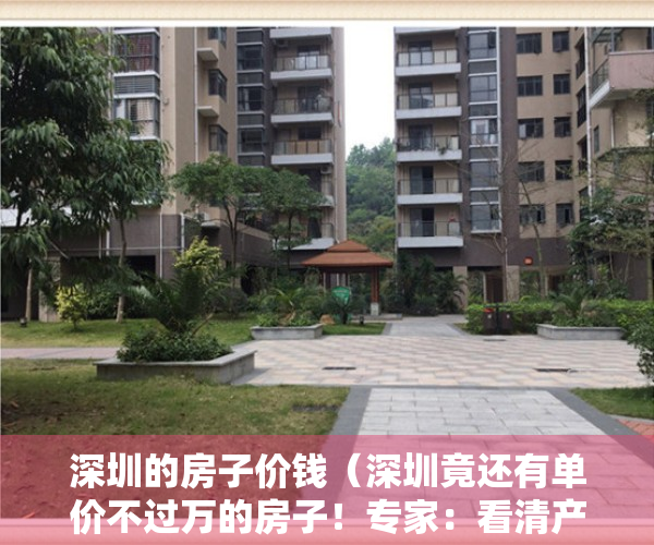 深圳的房子价钱（深圳竟还有单价不过万的房子！专家：看清产权性质再下手）