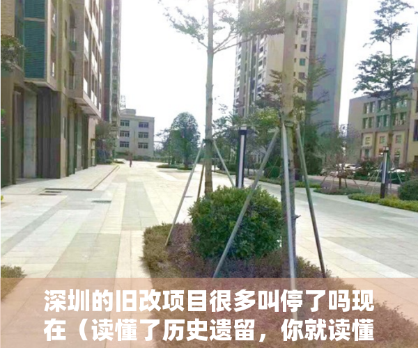 深圳的旧改项目很多叫停了吗现在（读懂了历史遗留，你就读懂了深圳旧改）