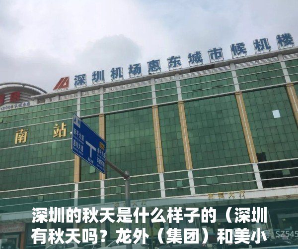 深圳的秋天是什么样子的（深圳有秋天吗？龙外（集团）和美小学学子这样回答）