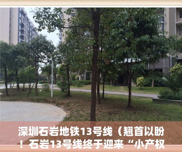 深圳石岩地铁13号线（翘首以盼！石岩13号线终于迎来“小产权地铁盘”，到南山仅20分钟）