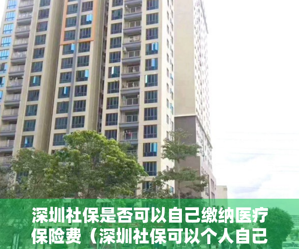深圳社保是否可以自己缴纳医疗保险费（深圳社保可以个人自己缴纳吗？非深户一二三社保缴费标准！）