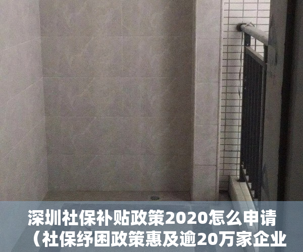 深圳社保补贴政策2020怎么申请（社保纾困政策惠及逾20万家企业 深圳市社保局多措并举助力中小微企业高质量发展）