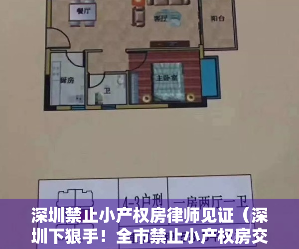 深圳禁止小产权房律师见证（深圳下狠手！全市禁止小产权房交易！炒房客再断“财路”）