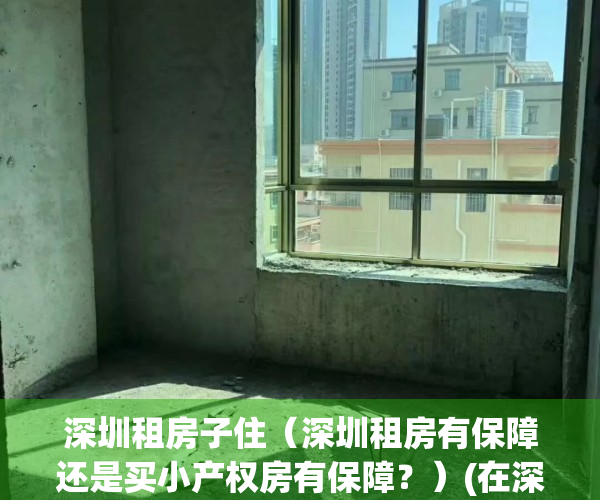 深圳租房子住（深圳租房有保障还是买小产权房有保障？）(在深圳租房划算还是买房划算)