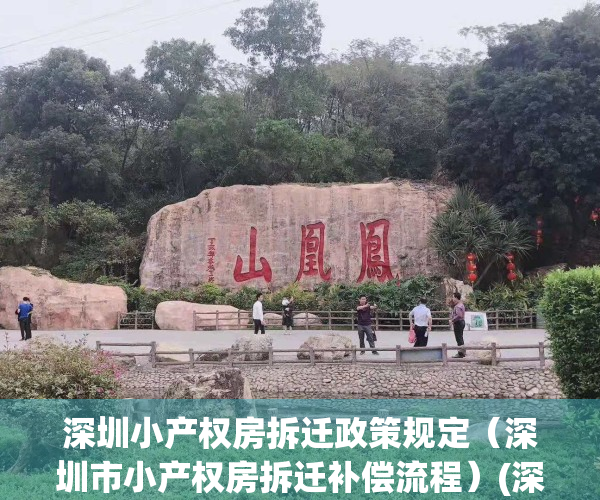 深圳小产权房拆迁政策规定（深圳市小产权房拆迁补偿流程）(深圳小产权拆迁有补偿吗)