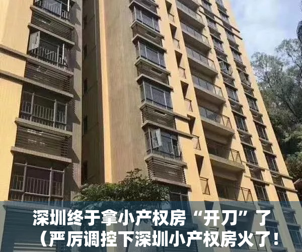 深圳终于拿小产权房“开刀”了（严厉调控下深圳小产权房火了！不按面积按套卖，涨幅大风险也大！）