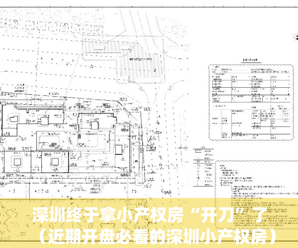 深圳终于拿小产权房“开刀”了（近期开盘必看的深圳小产权房）(深圳小产权房2020新盘)