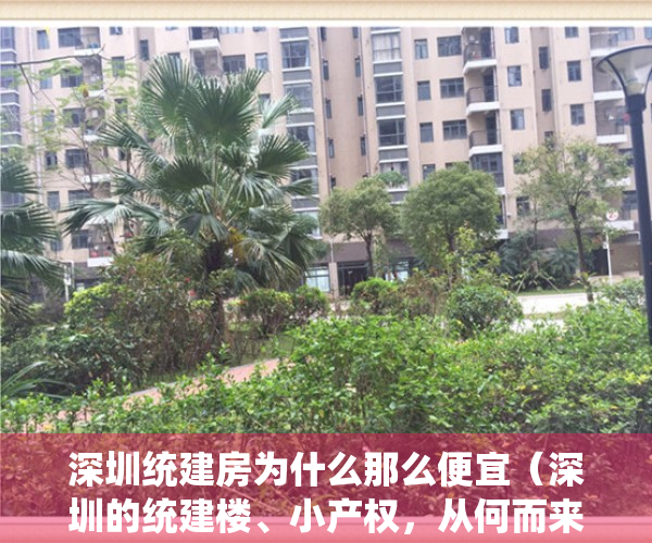 深圳统建房为什么那么便宜（深圳的统建楼、小产权，从何而来为什么会有这么多？答案来了~）