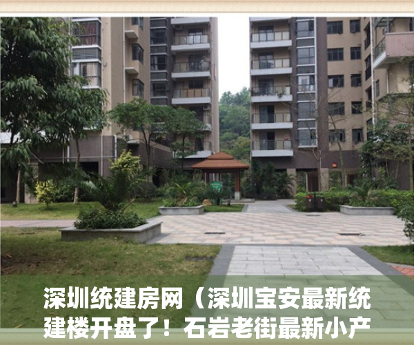 深圳统建房网（深圳宝安最新统建楼开盘了！石岩老街最新小产权房《盛世豪庭》石岩中心区大型统建楼  一手新盘200套房源任选 ，全部毛坯原始户型）
