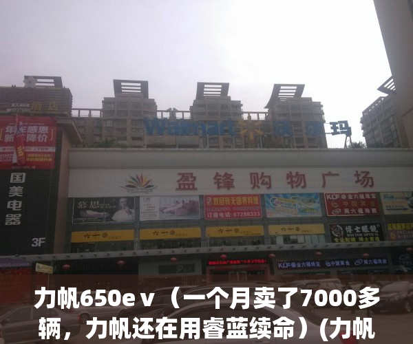 力帆650eⅴ（一个月卖了7000多辆，力帆还在用睿蓝续命）(力帆jc)