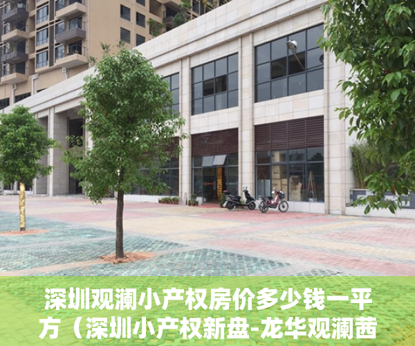 深圳观澜小产权房价多少钱一平方（深圳小产权新盘-龙华观澜茜坑地铁口民房【龙华特价1号】真正的原始户型小产权房，全部2房，一梯三户精装修，带天燃气管道，独立大阳台）
