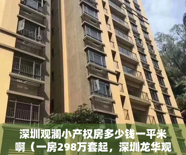 深圳观澜小产权房多少钱一平米啊（一房298万套起，深圳龙华观澜小产权房，观馨雅苑地铁口物业）